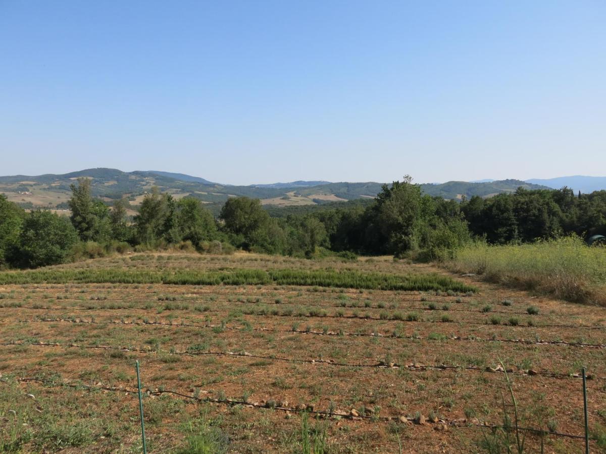 Agriturismo Alchimista Casole dʼElsa المظهر الخارجي الصورة