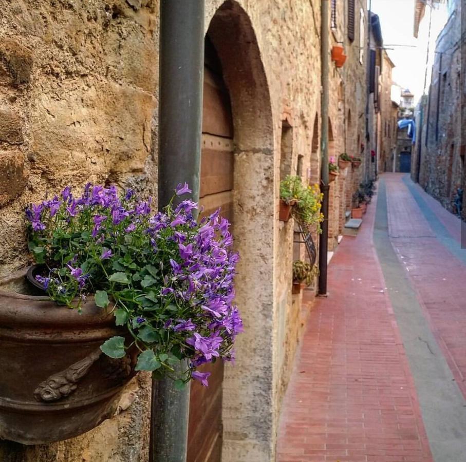 Agriturismo Alchimista Casole dʼElsa المظهر الخارجي الصورة
